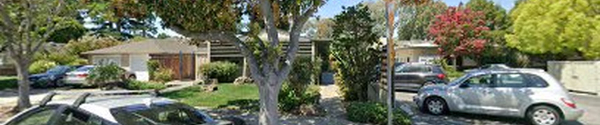 Palo Alto Tree Service