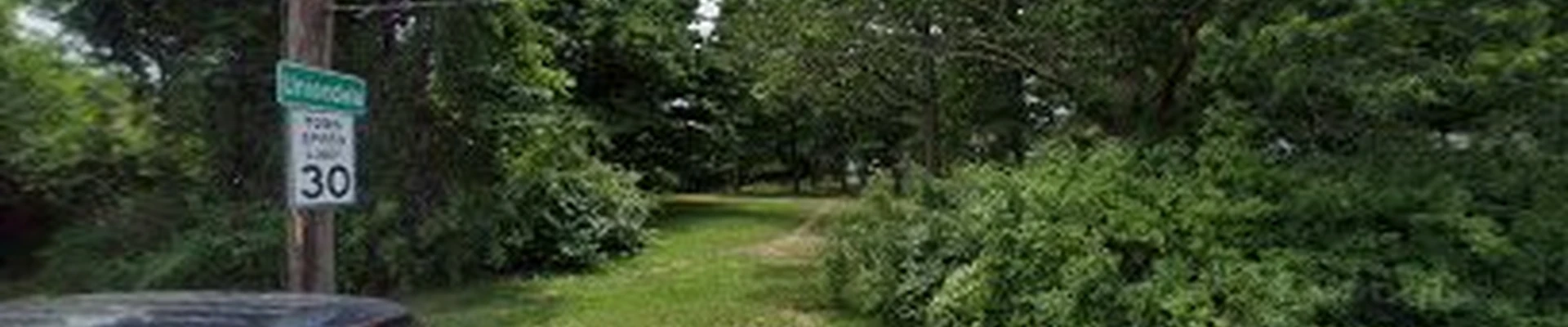 Garden City Tree Services