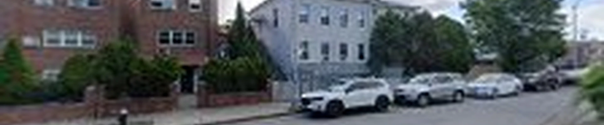 AFFORDABLE Tree Service Bronx, NYC
