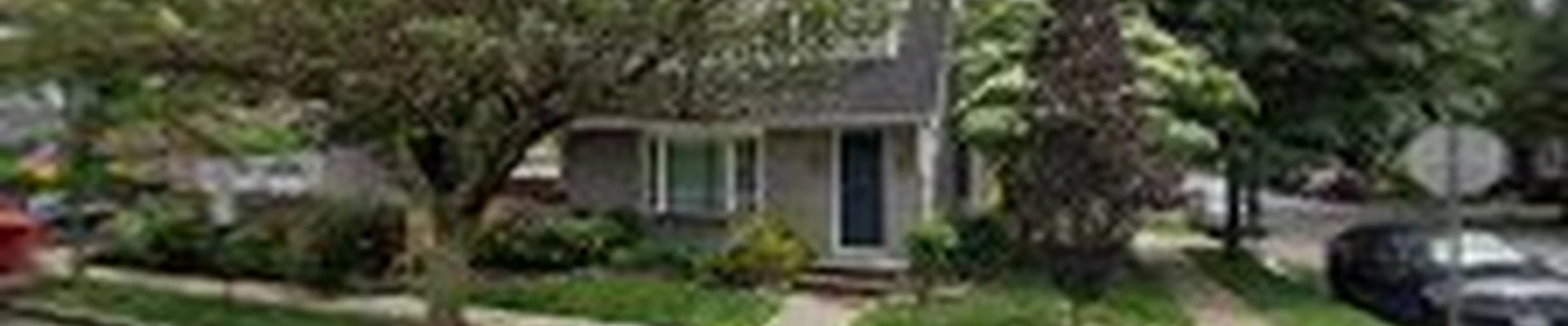 Tree Services Nassau & Queens County NY - Arbor-Pro