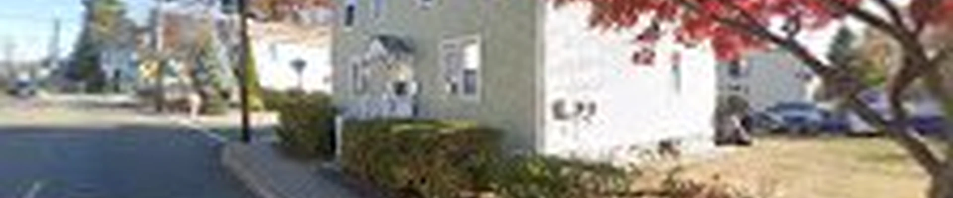 USA Pro Tree Service LLC