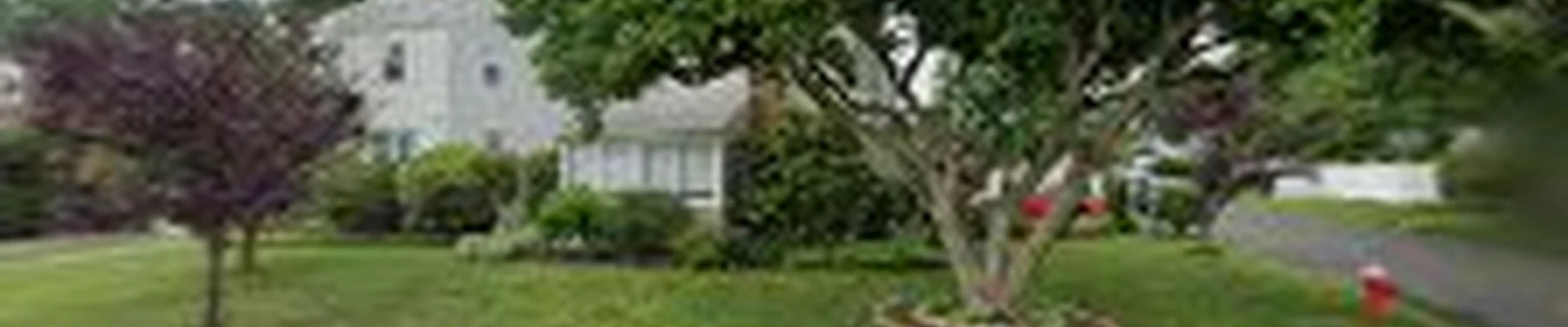 New Jersey Tree Professional