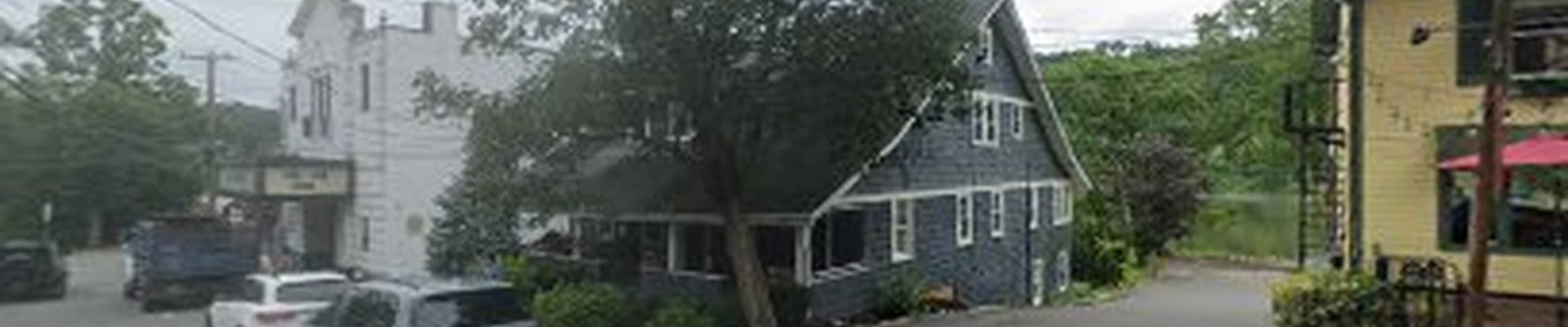 Special Tree Service Roslyn