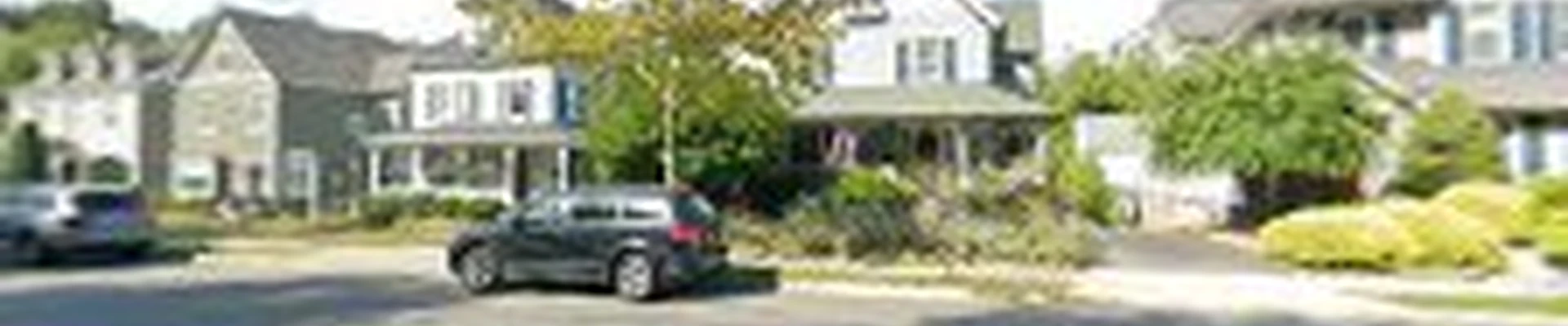 Alpine Tree Service