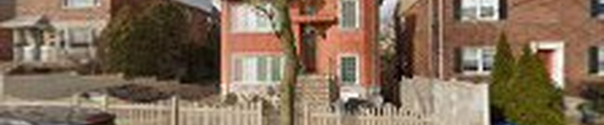 MM Bronx Tree Service - bronx Tree Cutting, bronx Tree Trimming, bronx Tree Removal, stump grinding,