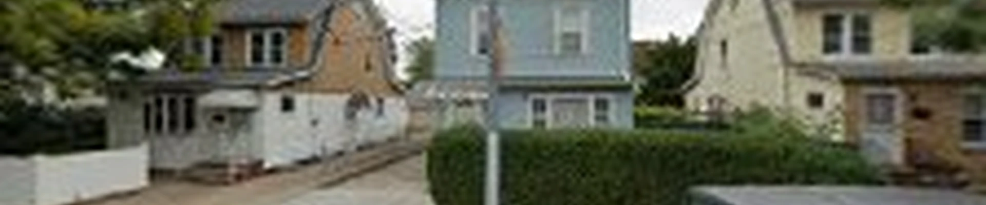 The World's Borough Tree