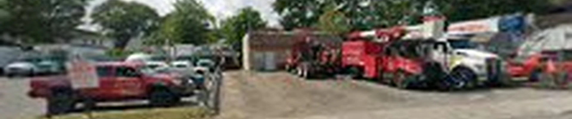 A Cut Above Tree Care & Service