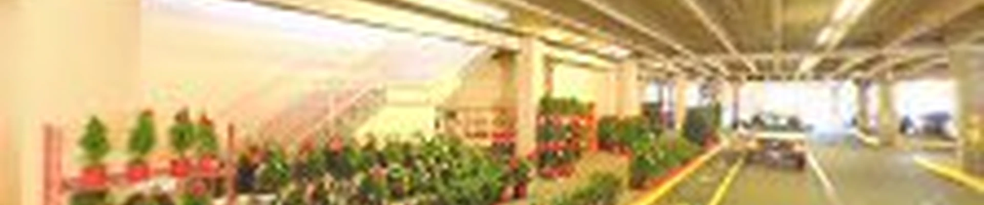 Garden Center at The Home Depot