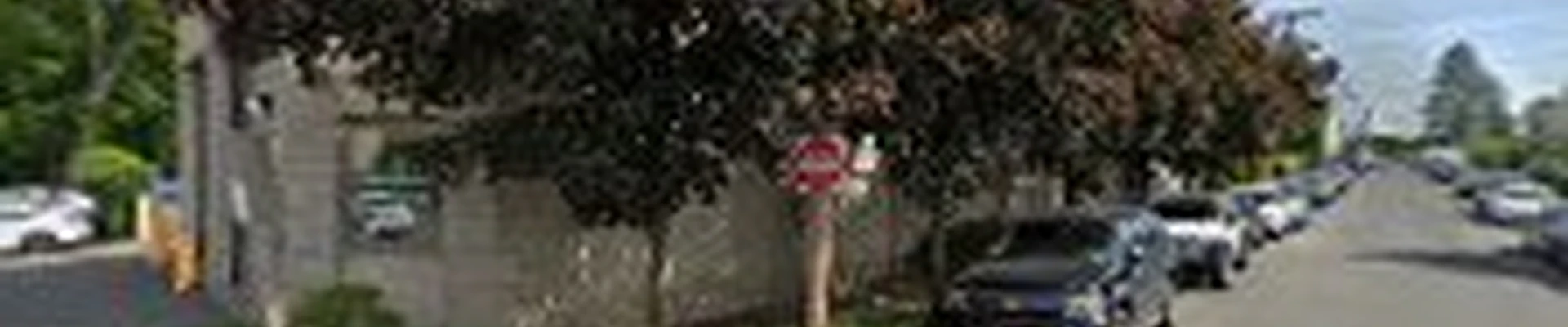 SavATree - Tree Service & Lawn Care