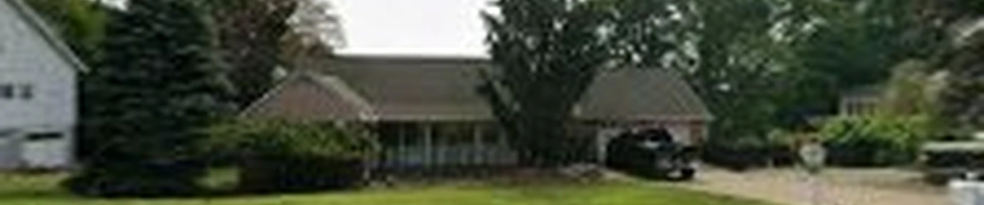 All wood tree service