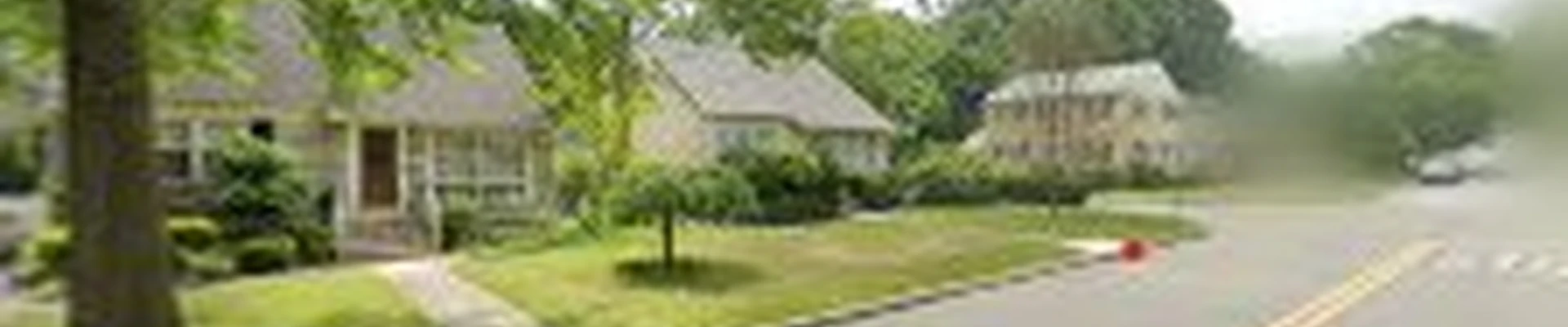 Benitez Tree Services LLC