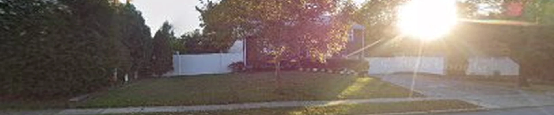 All American Tree Service