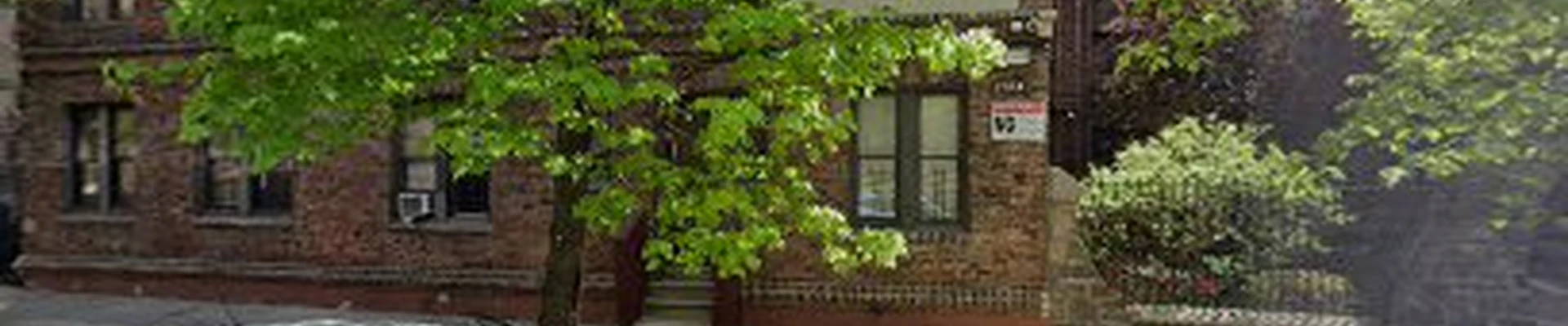 Tall Oak Tree Solutions