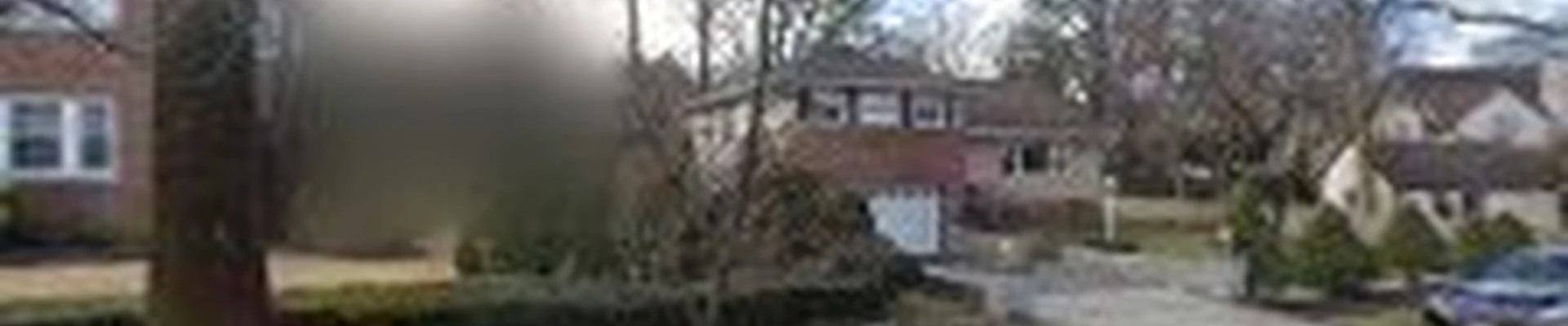 Year Round Yonkers Tree Removal Service
