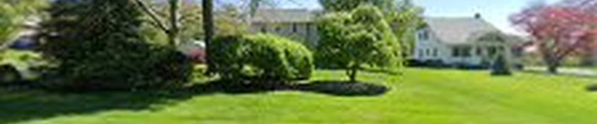 Shade Tree Services Co LLC