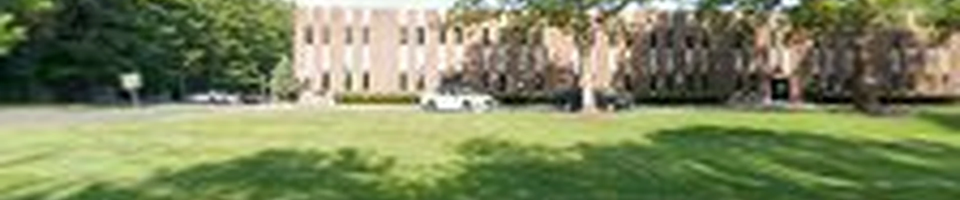 SavATree - Tree Service & Lawn Care