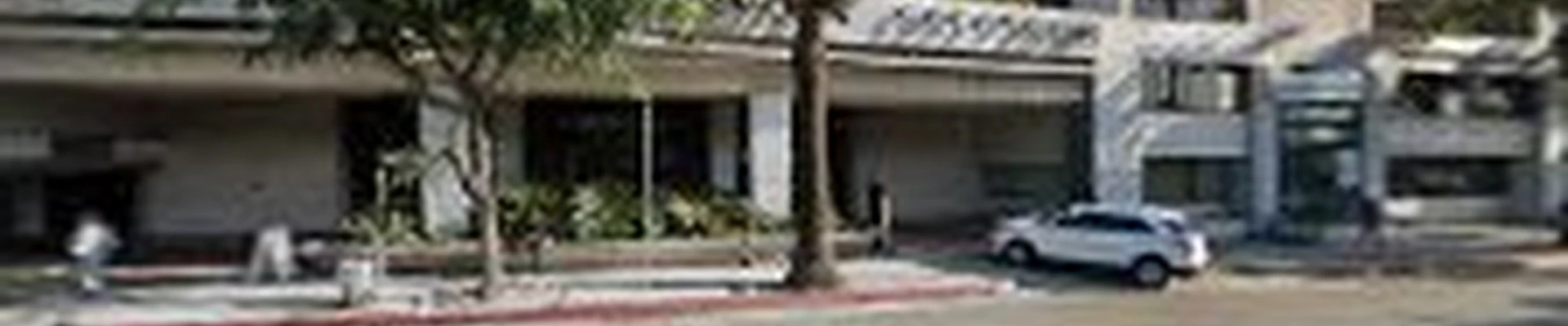Forest Green Tree Service Inc Certified Arborist