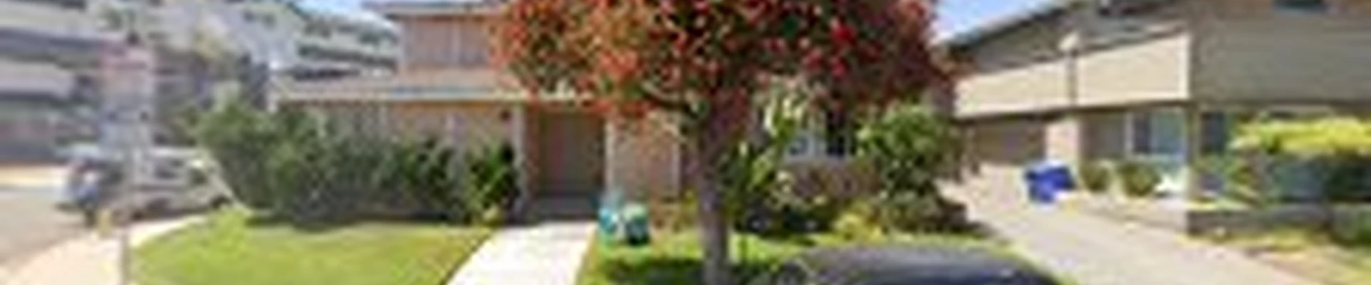 Beach Cities Tree Care Inc