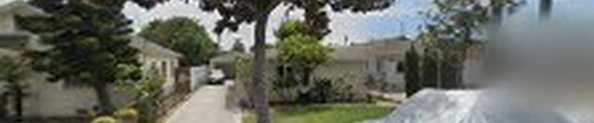 Discount Tree Care Arborist, Inc.