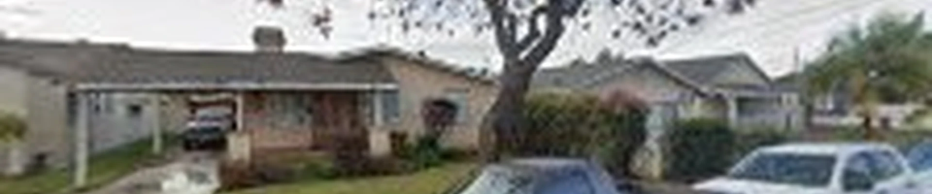 Best Tree Trimming & Removal