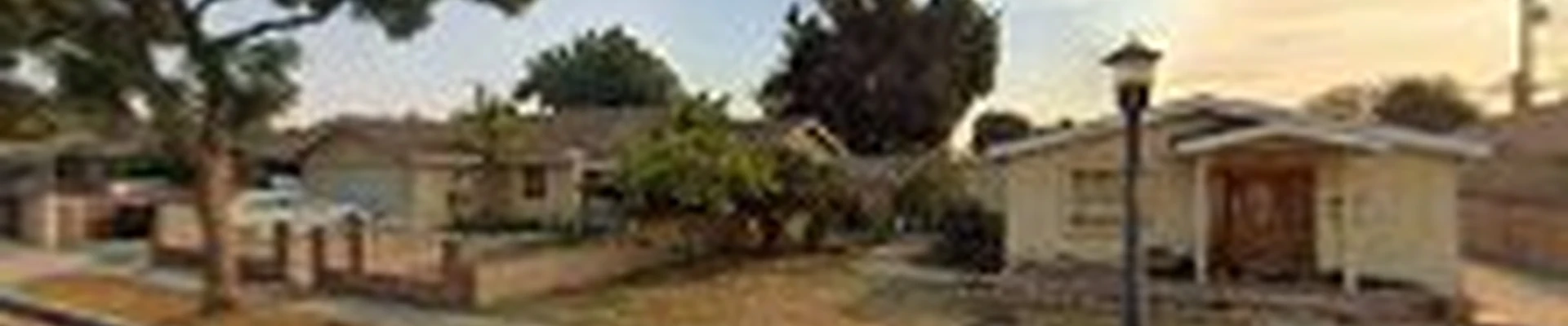 Hala's Tree Services