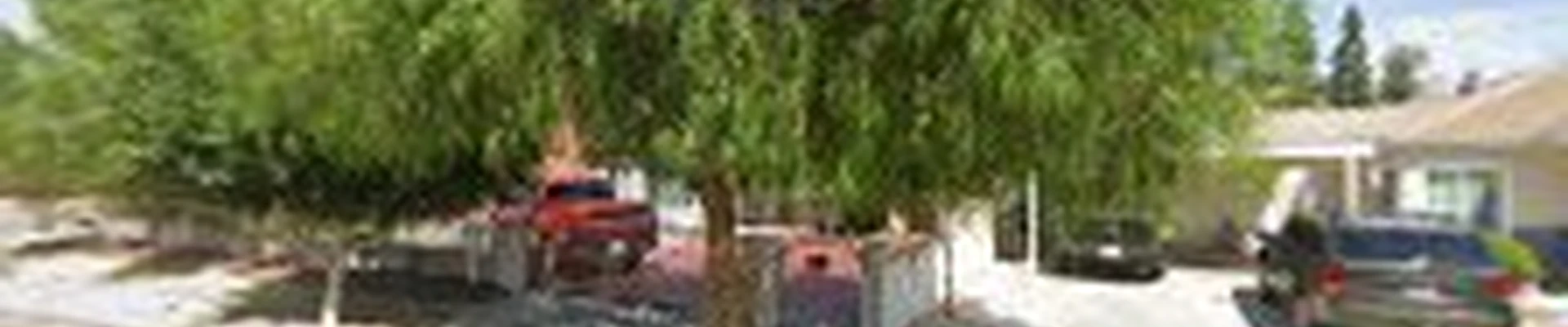 Poly Timber Tree Service Inc.