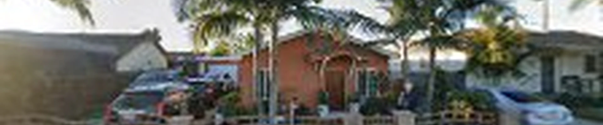 San Pedro Tree Services