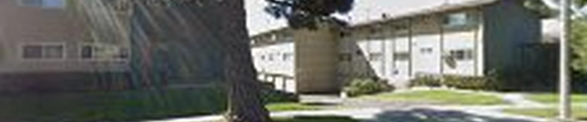 J. Lopez Tree Service