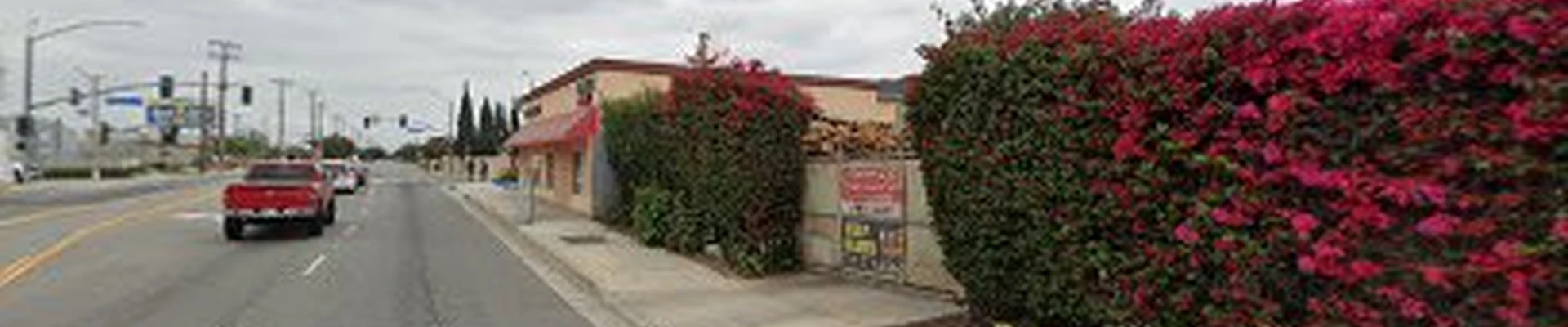 Jeff Buchanan Tree Services