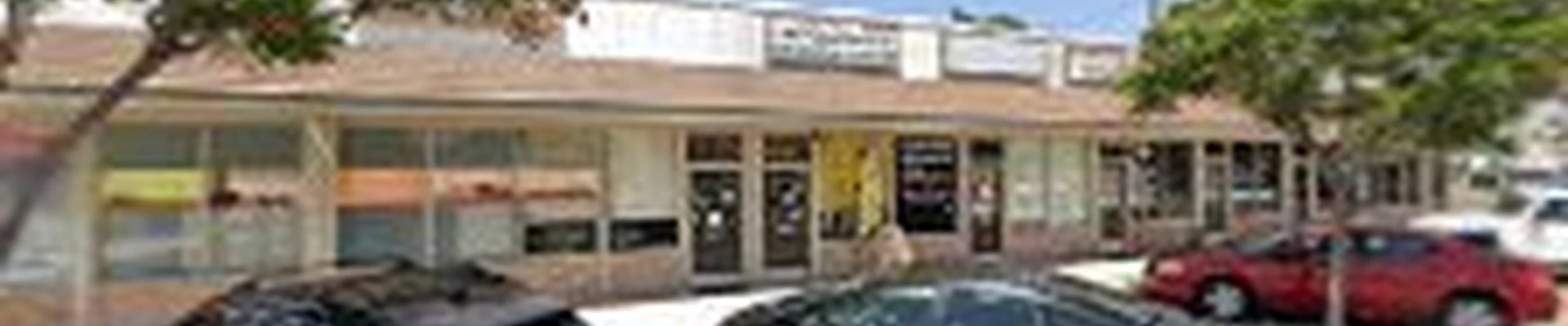 Briar Tree Care Service