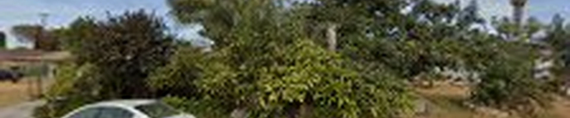 Lopez Tree Service