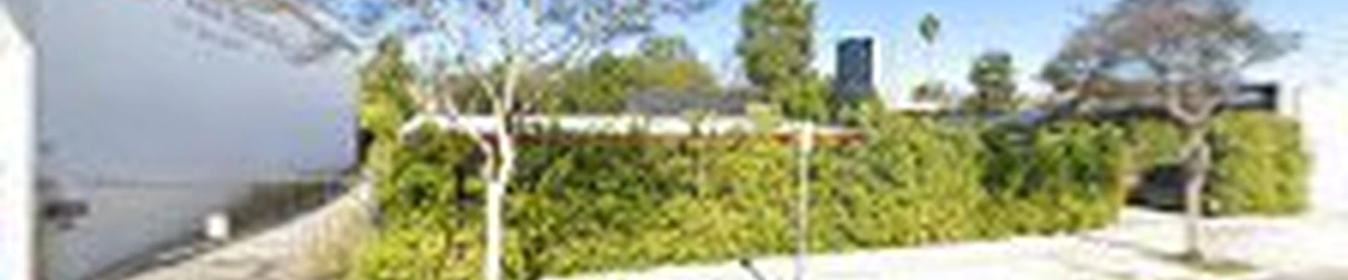 One Day Tree Service