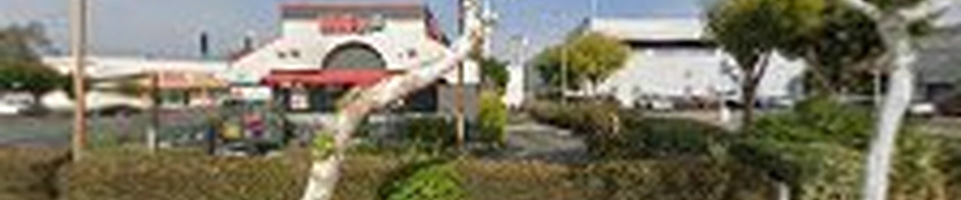CanopyQuest Tree Care