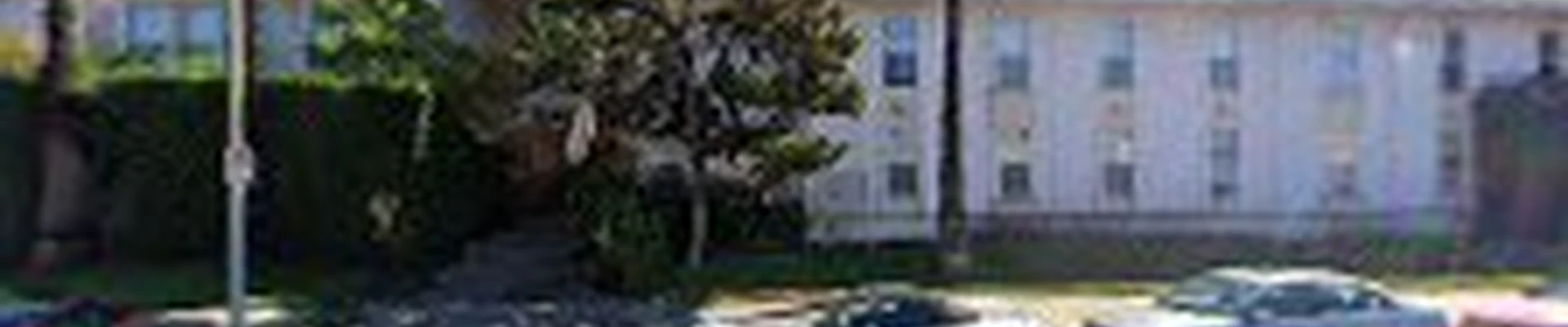 Parworks Tree Service