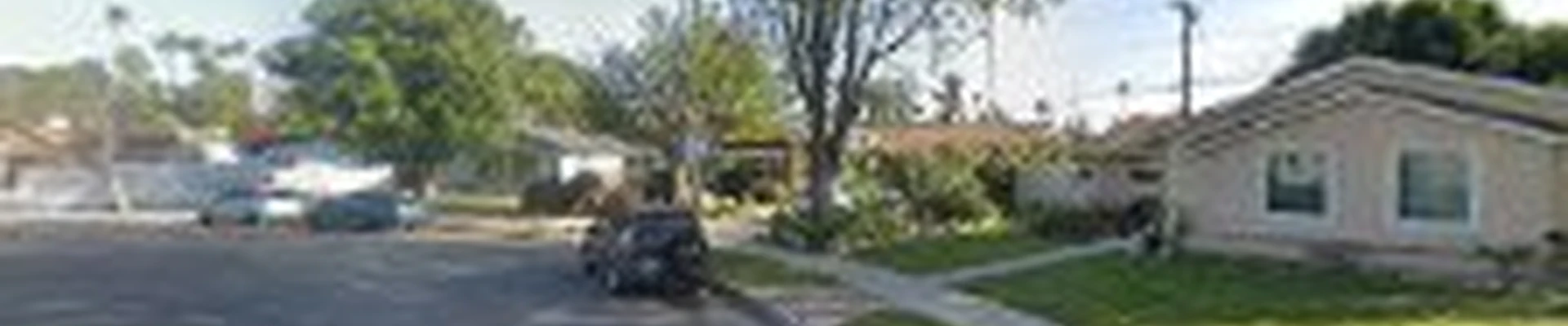 Affordable tree experts inc