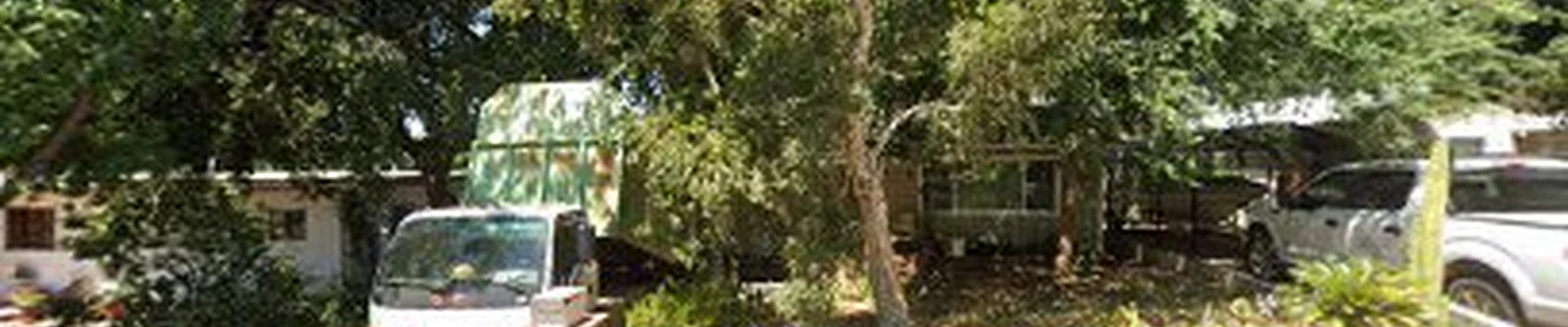 Anderson Tree Experts
