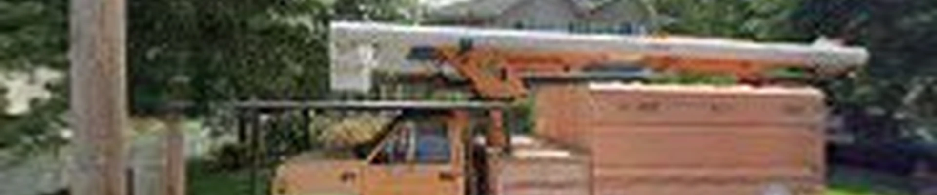 A & W Tree Services