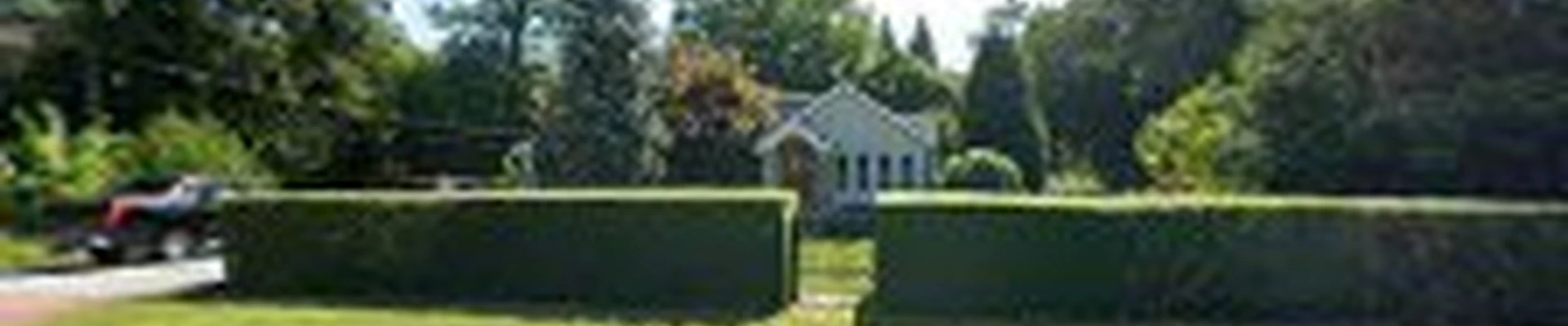 Mark Brummer's Tree Service
