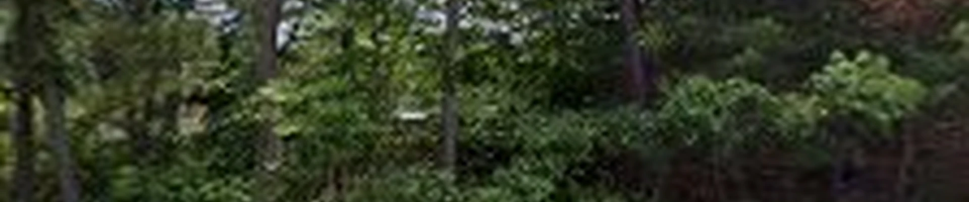 Brian's Tree Removal Service, LLC