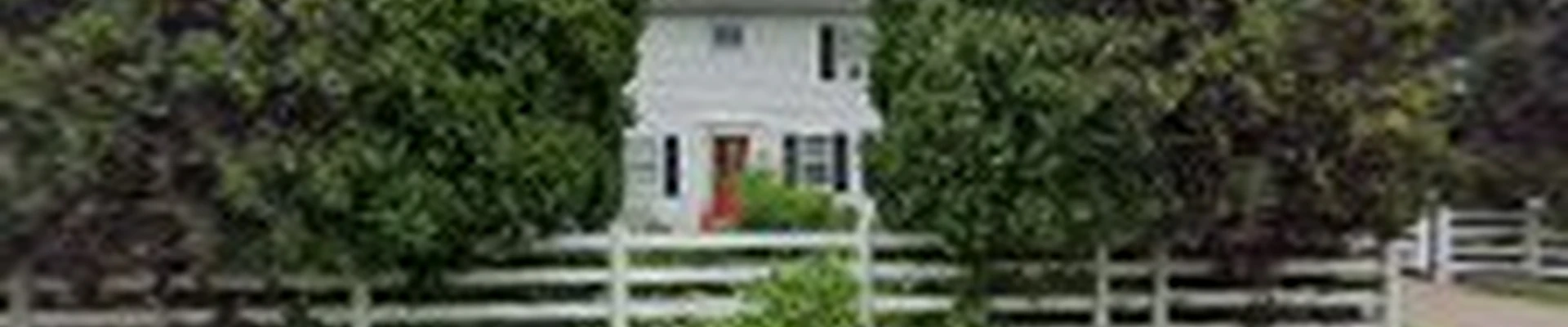 NJ Tree Surgeons