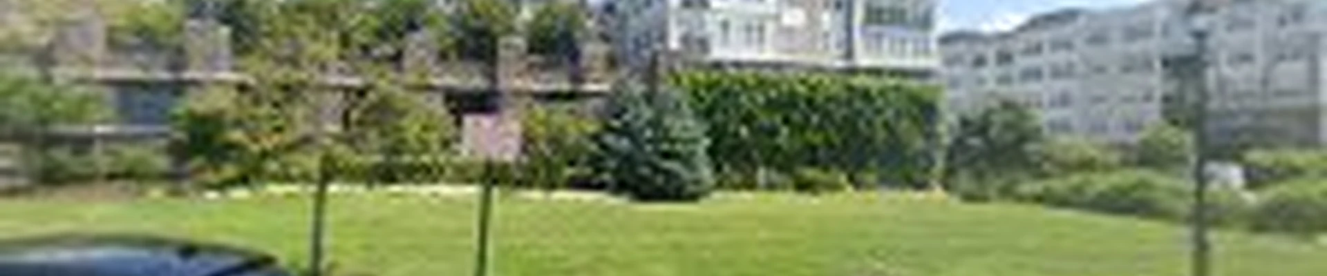 ALL STARS TREE SOLUTIONS