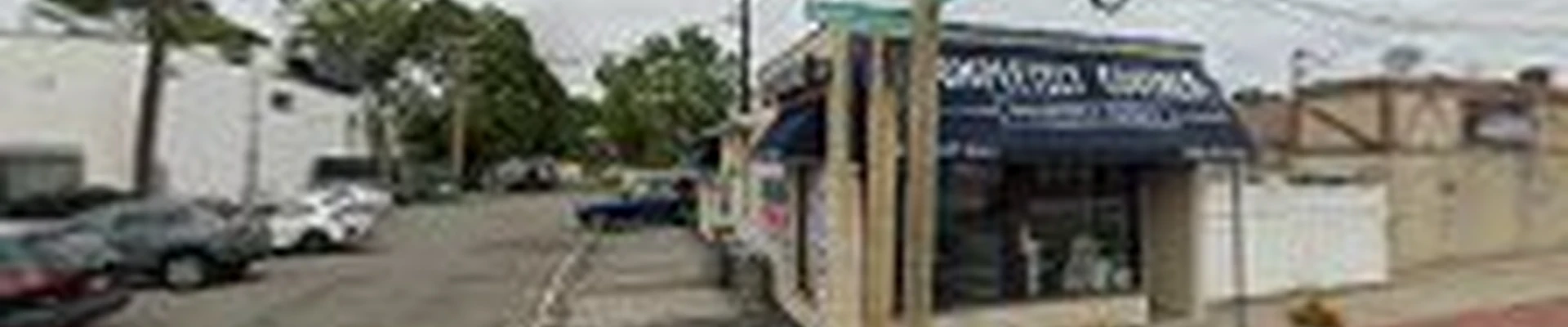 Timber Wood Tree Service