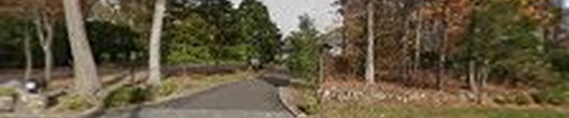Arbor Care Tree Service