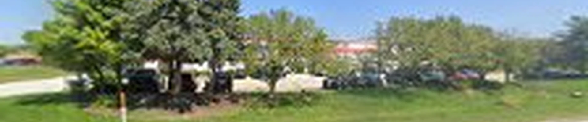 Precise Tree Care