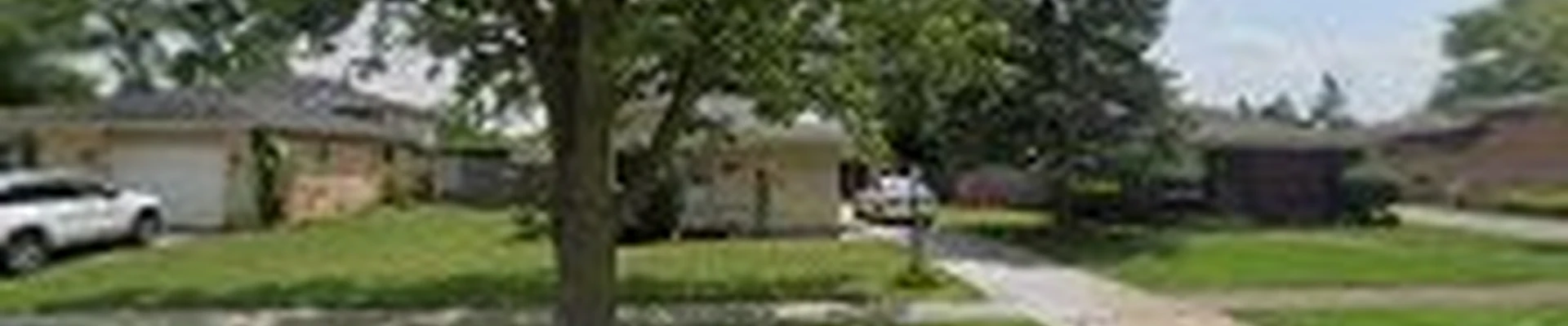 Pinzon tree service