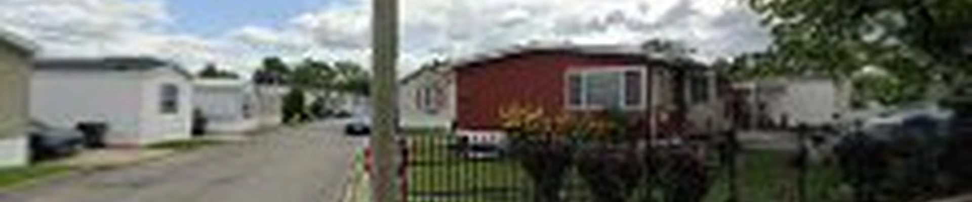 New look lawn & tree full service inc