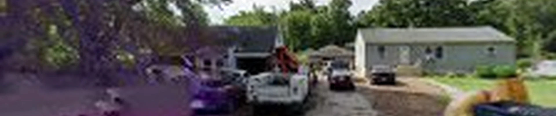 Virgils Tree Service