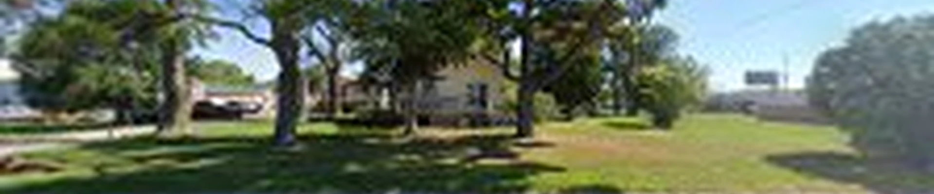 Tree Care & Removal