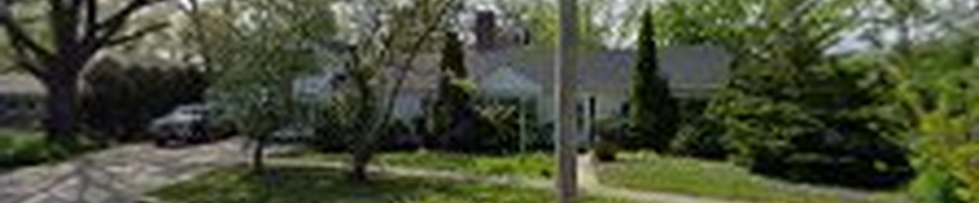 Mark's Tree Service