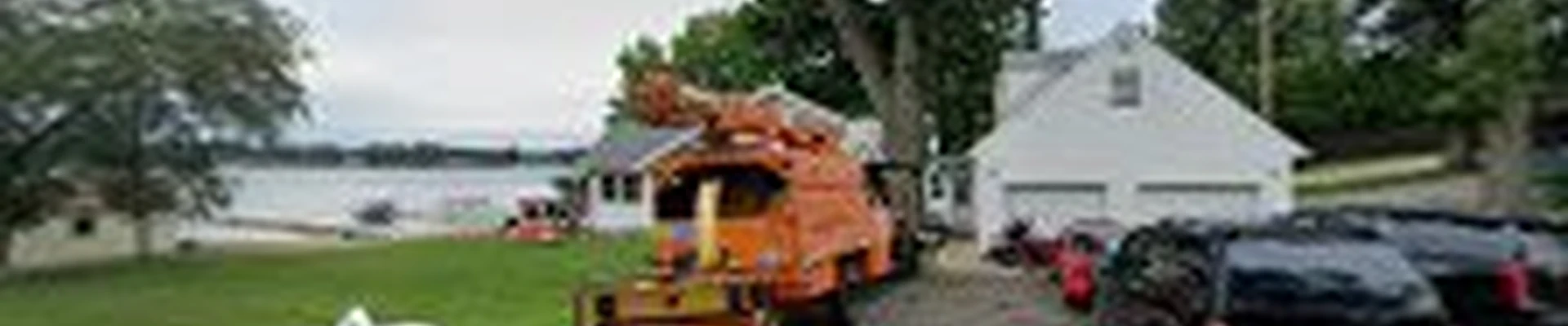 Wever Tree Service